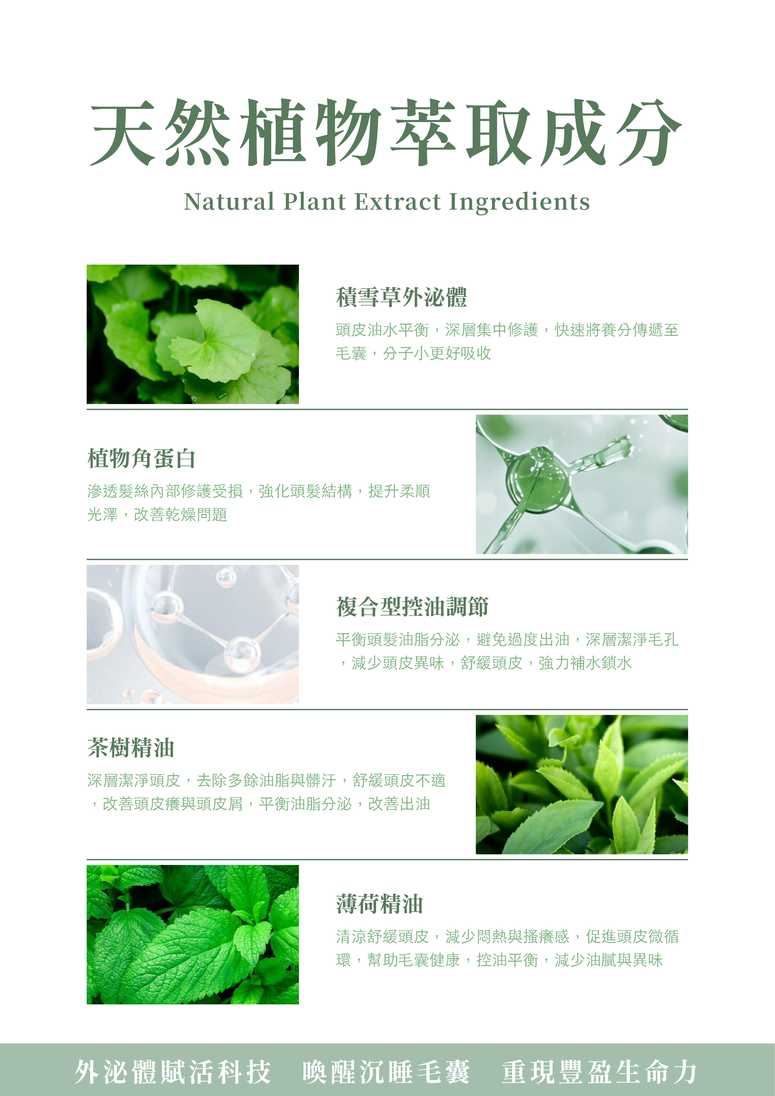 曜•賦活毛囊外泌體洗髮露 detail